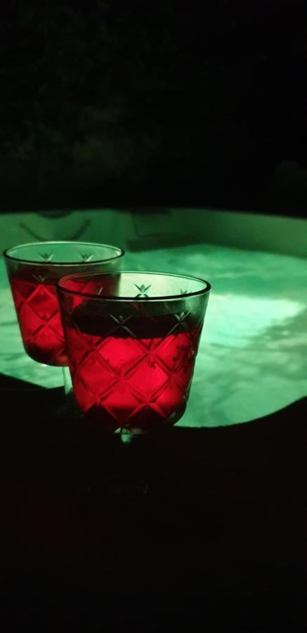 Maison De Maitre A Bram # Jacuzzi Eksteriør billede